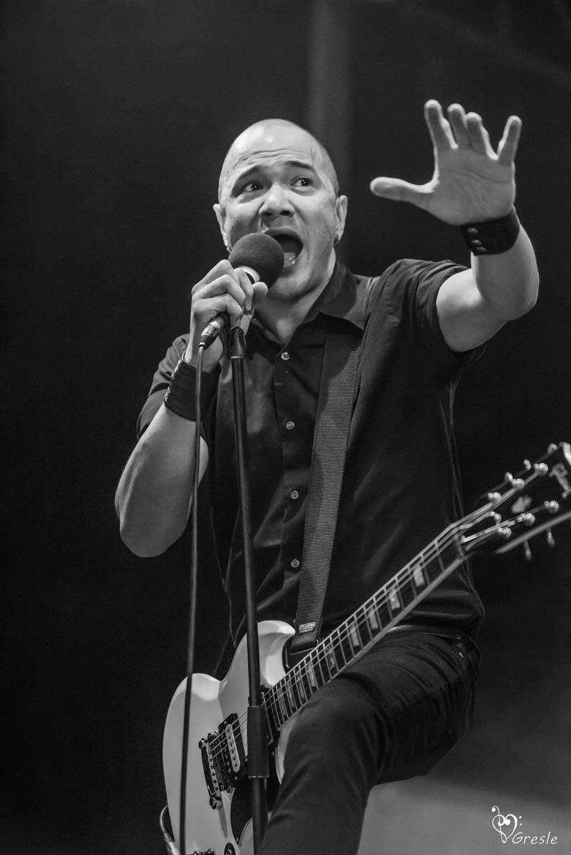 Danko Jones Sjock